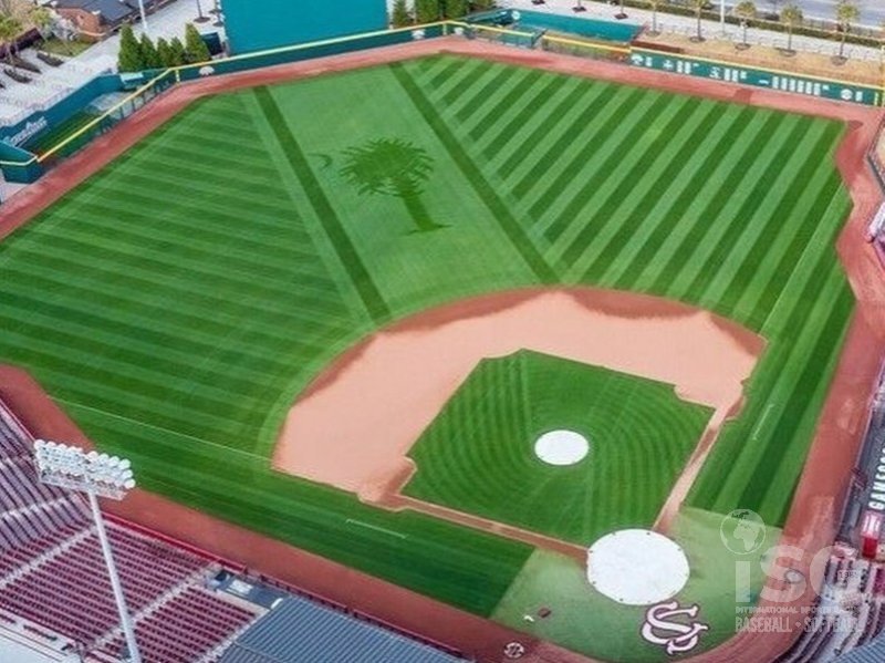 Daily Turf Maintenance Practices - ISG Baseball-Softball